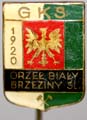 Brzeziny Slaskie 01 - Sport - GKS Orzel Bialy